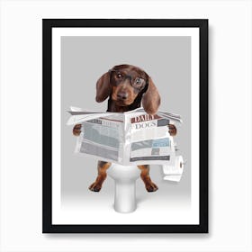 Chocolate Dachsund On The Toilet Art Print