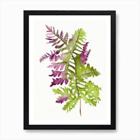 Grape Fern Wildflower Watercolour 1 Art Print