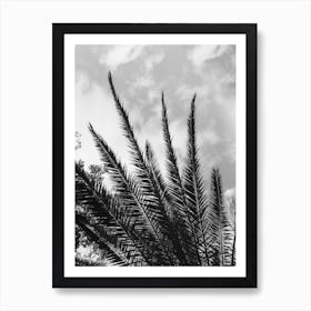 Palm Skies Art Print