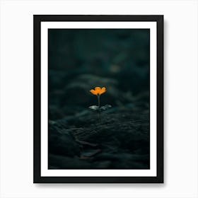 Single Flower In The Dark 89 Art Print