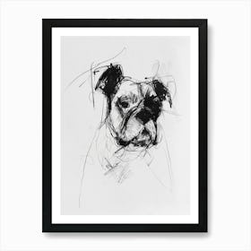 Bulldog Charcoal Line Art Print