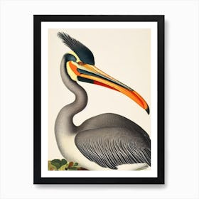 Pelican James Audubon Vintage Style Bird Art Print