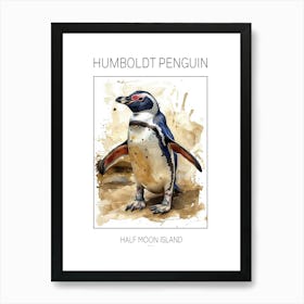Humboldt Penguin Half Moon Island Watercolour Painting 3 Poster Art Print