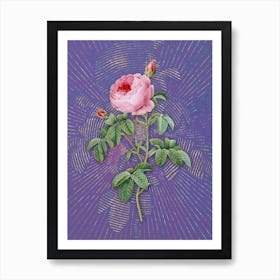 Vintage Provence Rose Bloom Botanical Illustration on Veri Peri n.0628 1 Art Print