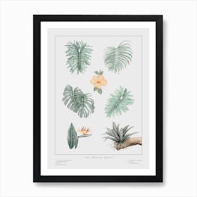 The Tropical Babies Off White 2 Art Print