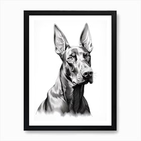 Doberman Pinscher Dog, Line Drawing 4 Art Print