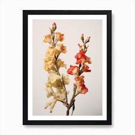 Pressed Flower Botanical Art Snapdragon 2 Art Print