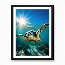 Sea Turtle In The Ocean Art Print