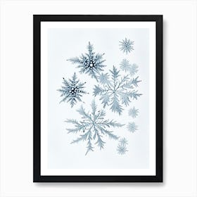 Fernlike Stellar Dendrites, Snowflakes, Quentin Blake Illustration 1 Art Print