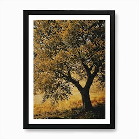 Lone Tree 11 Art Print