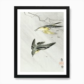 Songbirds In Rain (1900 1910), Ohara Koson Art Print