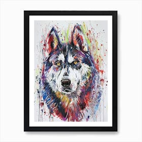Siberian Husky Acrylic Painting 8 Art Print