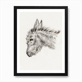 Head Of A Donkey (1818), Jean Bernard Art Print