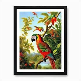 Parrot Haeckel Style Vintage Illustration Bird Art Print