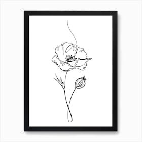 Poppy Line Drawing Art Print