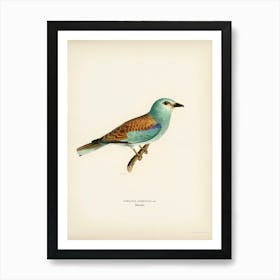 European Roller, The Von Wright Brothers 1 Art Print