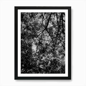 Beautiful black tree from below silhouette Art Print