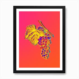 Neon Grape Vine Botanical in Hot Pink and Electric Blue n.0478 Art Print