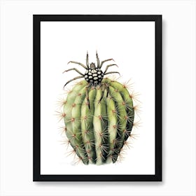 Zebra Cactus Watercolour Drawing 4 Art Print