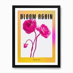 Hot Pink Ranunculus Poster Art Print