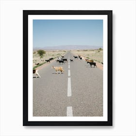 Goats Crossing The Road in Morocco Art Print