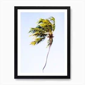 Palm Tree Art Print