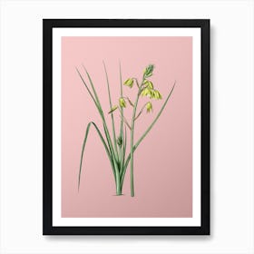 Vintage Slime Lily Botanical on Soft Pink n.0429 Art Print