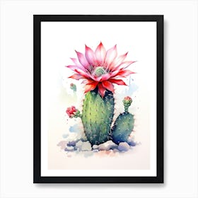 Stenocactus Cactus Watercolour Drawing 2 Art Print