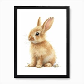 Netherland Dwarf Rabbit Kids Illustration 4 Art Print