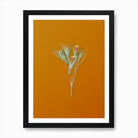 Vintage Witsenia Maura Botanical on Sunset Orange Art Print
