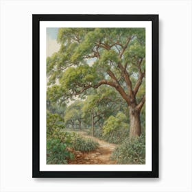 Path Through The Woods 1 Art Print