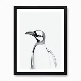 Penguin B&W Pencil Drawing 1 Bird Art Print