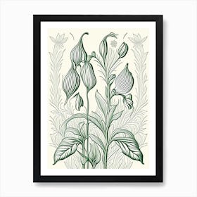 Cardamom Herb William Morris Inspired Line Drawing 2 Art Print