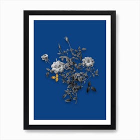Vintage Dwarf Rosebush Black and White Gold Leaf Floral Art on Midnight Blue Art Print