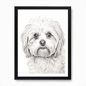 Maltese Dog, Line Drawing 2 Art Print