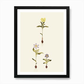 Three Flowers In A Pot Art Print