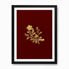 Vintage Sweetbriar Rose Botanical in Gold on Red n.0449 Art Print