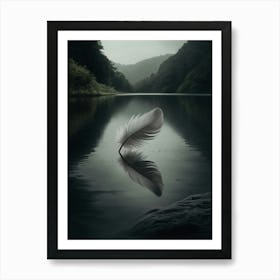 Feather In Water Art Print