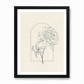 Peony Flower Art Print