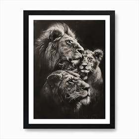 African Lion Charcoal Drawing Family Bonding 3 Art Print