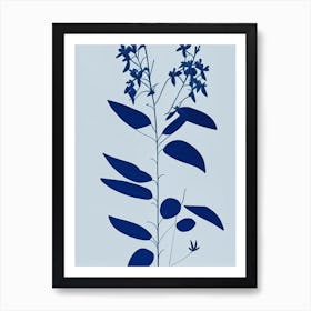 Blue Cohosh Herb Simplicity Art Print