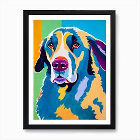 Flat Coated Retriever 2 Fauvist Style Dog Art Print