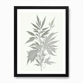 Hemp Herb William Morris Inspired Line Drawing 2 Art Print