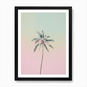 Miami Beach Palm Tree Art Print