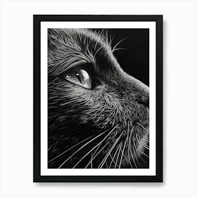 Black And White Cat Portrait Art Print