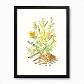 Fenugreek Spices And Herbs Pencil Illustration 1 Art Print