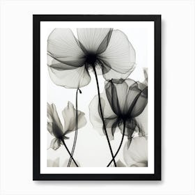 Black White Image Flowers Art Print