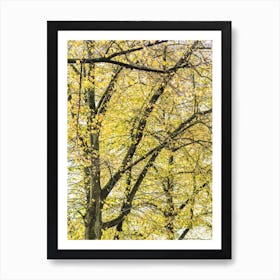 Yellow Autumn Trees Art Print