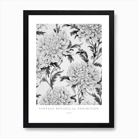 Aster B&W Vintage Botanical Poster Art Print