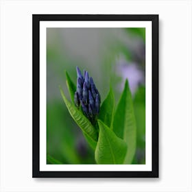 Lily Of The Valley Art Print